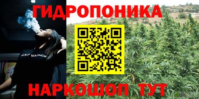 ГАЛЛЮЦИНОГЕННЫЕ ГРИБЫ Ирбит