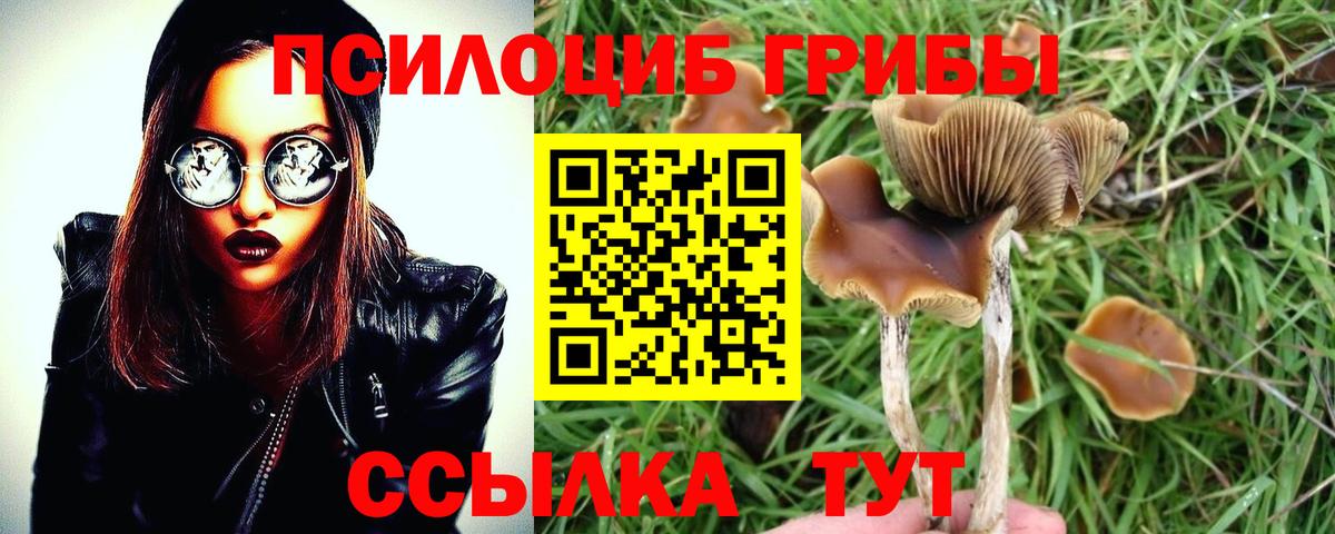 Муром  Псилоцибиновые грибы мицелий  Вход с VPN 